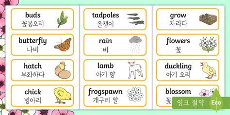 봄 단어 카드 Spring Word Cards (Korean & English)