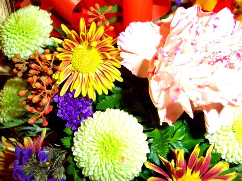 Image result for Kodak Camera Download to Computer