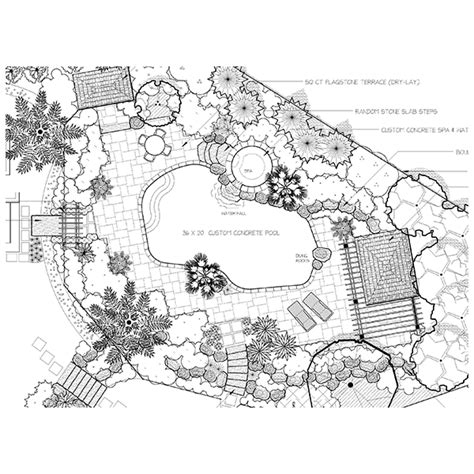 Basic DynaSCAPE Functions 的图像结果