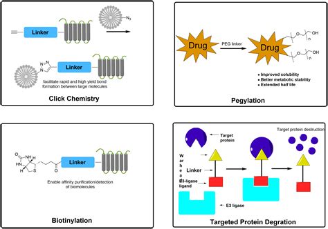 What is Linker Chemistry? A Beginner’s Guide to the Fundamentals ...