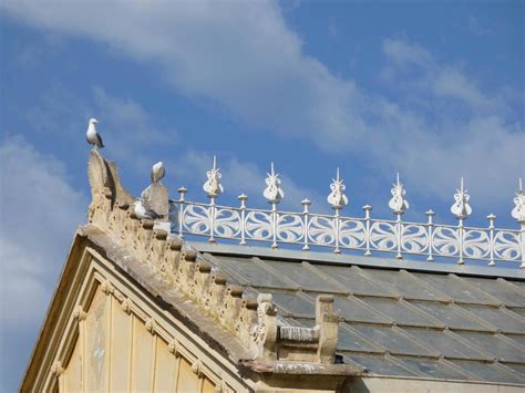 Image result for Parapet Print Design