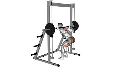 Smith Machine Exercises 的图像结果
