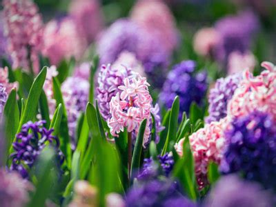 Bodkin Funeral Home | Milan, TN