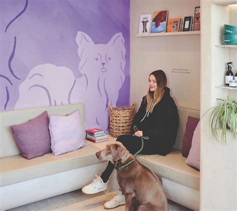 Creature Comforts Vets Notting Hill