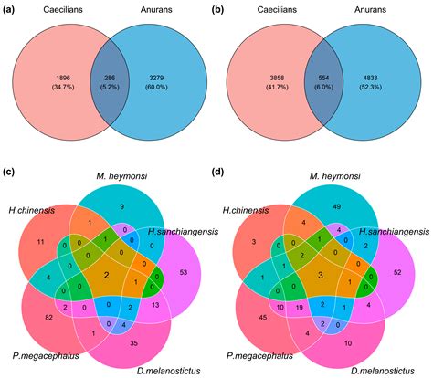 Distinct Gut and Skin Microbiomes of a Carnivorous Caecilian Larva ...