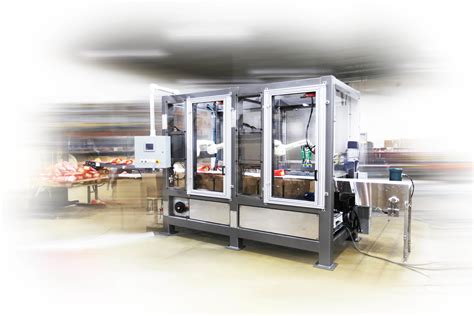 Rezultat imagine pentru Robotic Arm Case Packing Machine