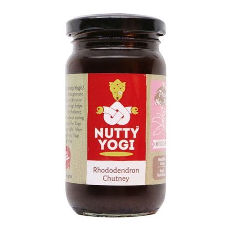 Buy Chatpati Chutney Online - Nutty Yogi
