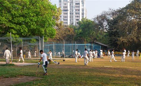 Top Cricket Academies in Ahmedabad for Aspiring Cricketers | WhatsHot ...