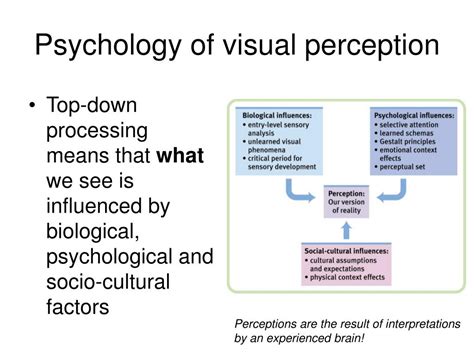 Perception 的图像结果
