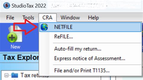 Image result for NETFILE Tax Return