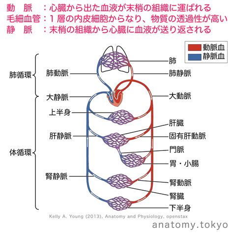 Image result for How to Scan a Two Dimensional Code