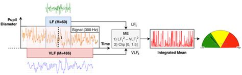 Measuring Mental Effort in Real Time Using Pupillometry