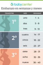 Cómo calcular semanas, meses y trimestres de embarazo | BabyCenter
