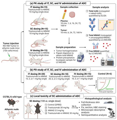 Pharmacokinetics and Pharmacodynamics of Antibody-Drug Conjugates Administered via Subcutaneous ...