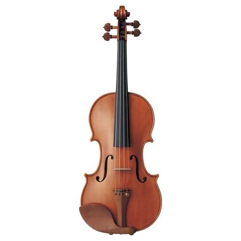 Best Acoustic Violin at Emily Wolcott blog