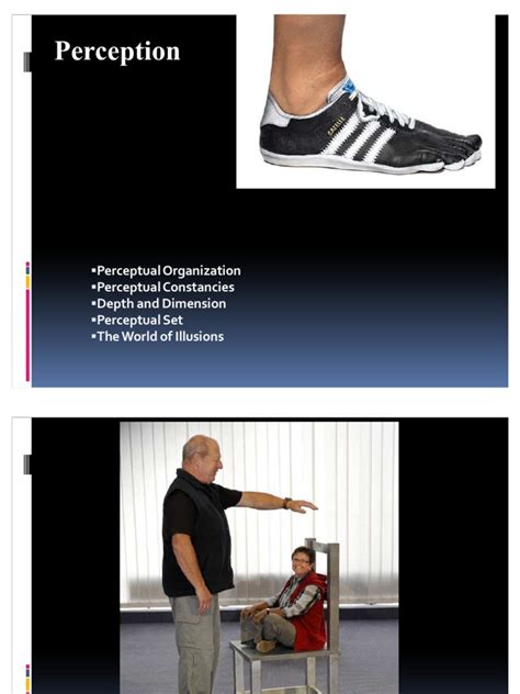 Different Types of Perception 的图像结果