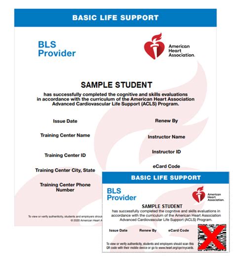 Image result for AHA BLS Program