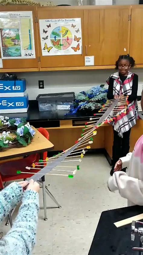 Generation Genius Math 的图像结果