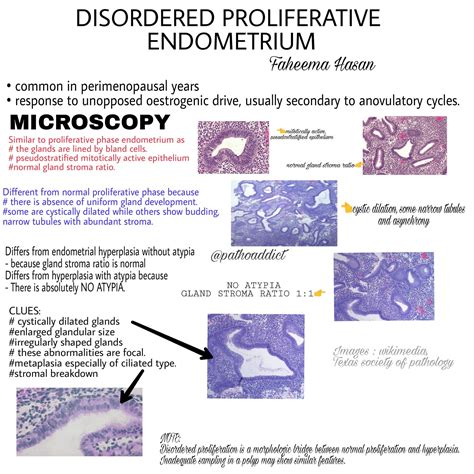 Weakly Proliferative Endometrium