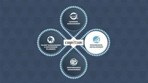 Reflection Software 的图像结果