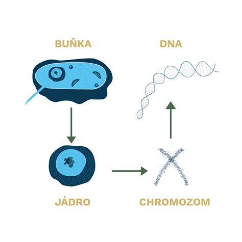Interesting Genetics 的图像结果