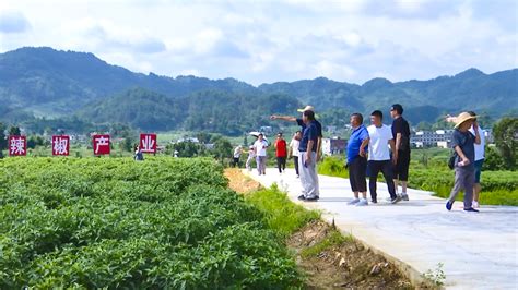 遵义市历史文化研究会到西坪镇举行乡村振兴文化采风暨《一代文脉掌山开》首发式-新华丝路