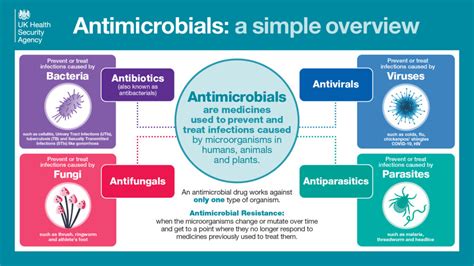 Image result for Antimicrobial Examples