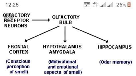 Prepare a flow chart that shows the stages in the process of detecting ...