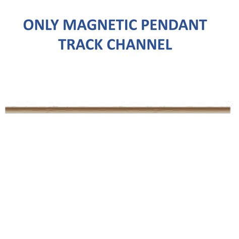 Magnetic Pendant Track Lights