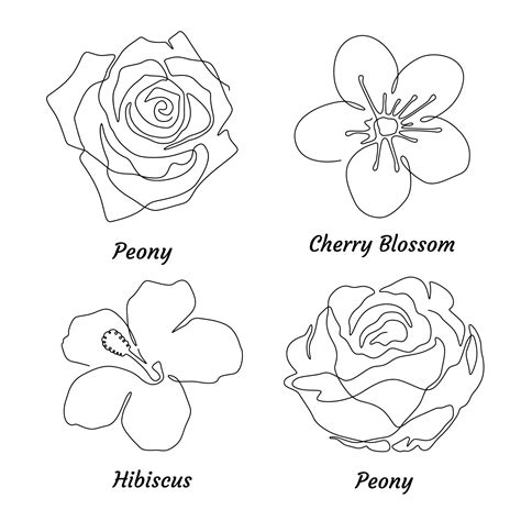 Different Types Of Flowers Drawing With Names