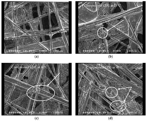 An Investigation of the Compressive Behavior of Polymer Electrode ...