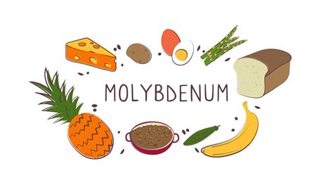 The Essential Role of Molybdenum in Health: A Complete Guide ...