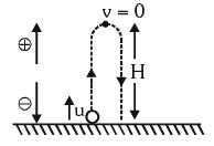 Kinematic Equations: Uniformly Accelerated Motion - Physics Class 11 ...