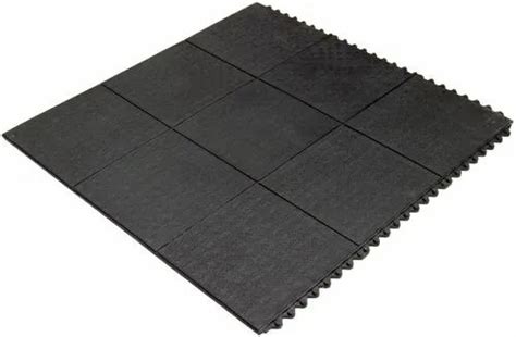 DOG FLOOR MATS Manufacturer - Dog Anti Skid Mat Trader - Retailer from ...