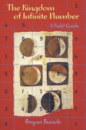 Buy Kingdom of Infinite Number: A Field Guide Book Online at Low Prices ...