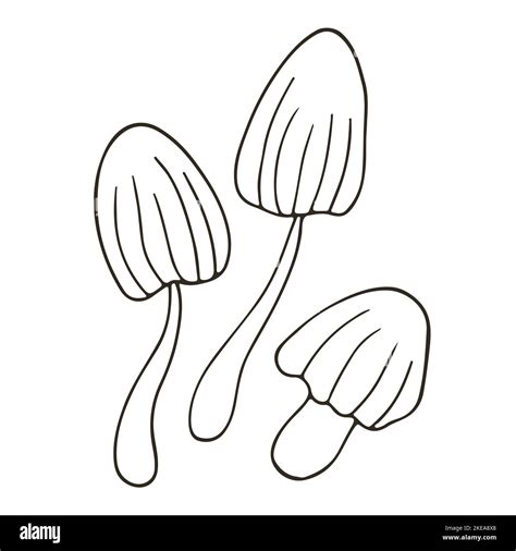 Panaeolina foenisecii. Small set of hand drawn style vector illustrations. Coloring Collection ...
