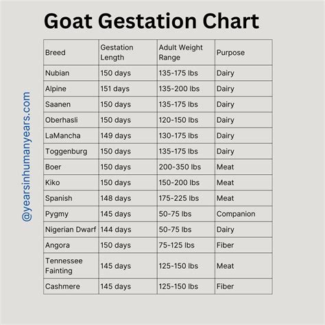 Goat Gestation Calculator - Pregnancy Calculator - YIHY