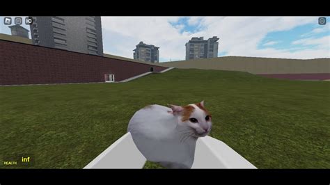 Rays Mod Addons 的图像结果