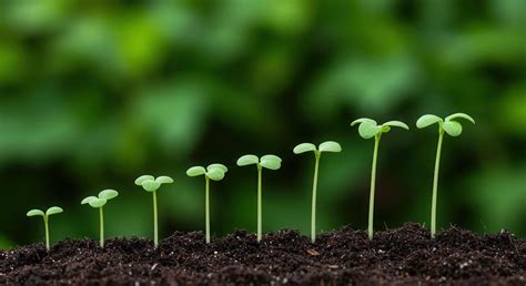 Image result for Programming Development Life Cycle for Background