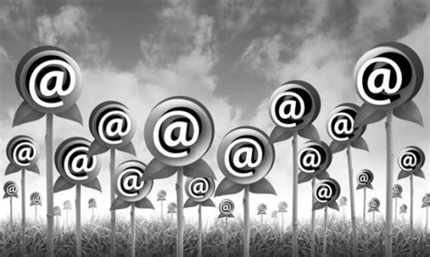 How email trumps social marketing | The Evoc Blog