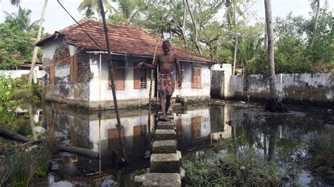 Photos: How Kerala's Kumbalangi is sinking as salt water creeps in ...