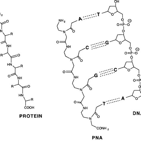 Labels KeyShot 的图像结果