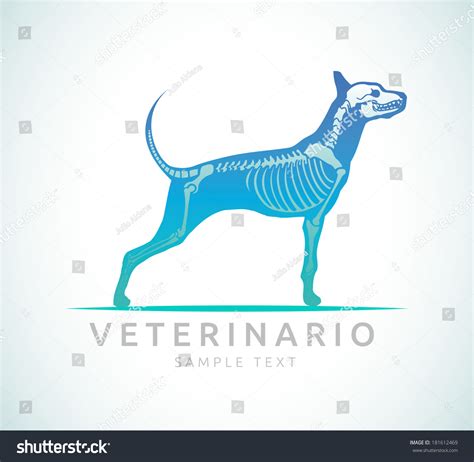 Veterinario Veterinarian Spanish Text Veterinary Care Stock Vector ...