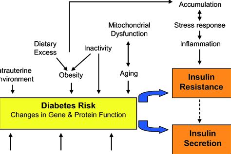 Image result for Complex Model