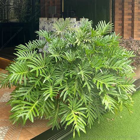 Della Luxury Products | Iconic Projects Design, Manufacturing & Built