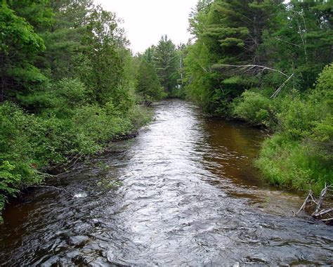 BOARDMAN RIVER (2025) All You Need to Know BEFORE You Go (with Photos ...