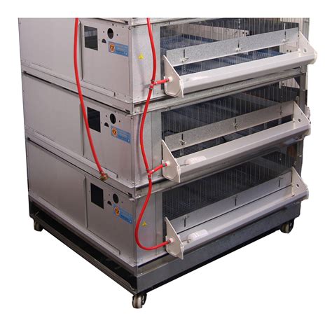 Image result for Battery Brooder