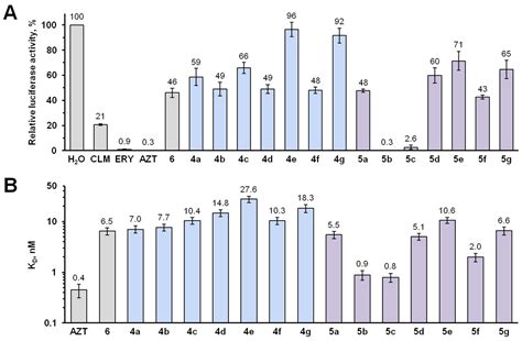 Hybrid Molecules of Azithromycin with Chloramphenicol and Metronidazole ...
