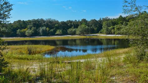 Indian Lake State Forest – Florida Hikes