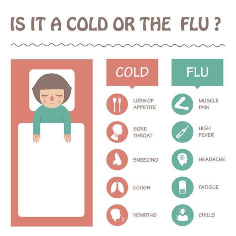 Flu (Influenza) - South Health District